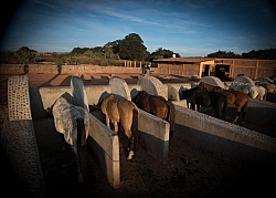 Rancho Las Cascadas