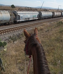 Crossing the Tracks in Mexico