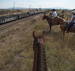Crossing the Tracks in Mexico
