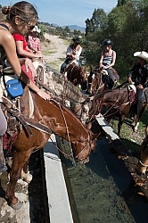 Drinking on the Trail