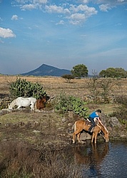 Drinking on the Trail