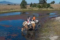 Drinking on the Trail