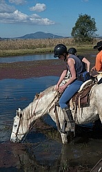Drinking on the Trail