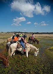 Drinking on the Trail