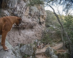 Ride to La Copa and Moonrock