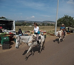 Riding past Schools and Street Markets