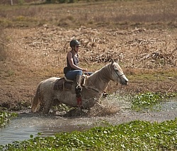 Water Crossings in Mexico