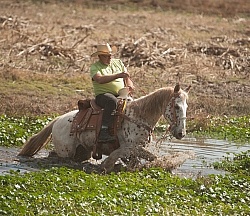 Water Crossings in Mexico