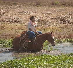 Water Crossings in Mexico