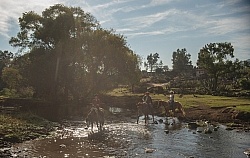 Water Crossings in Mexico