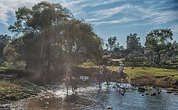 Water Crossings in Mexico