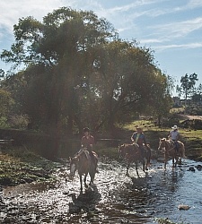Water Crossings in Mexico