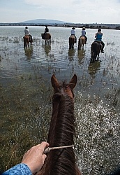 Water Crossings in Mexico