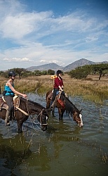 Water Crossings in Mexico