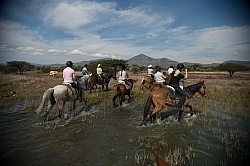 Water Crossings in Mexico