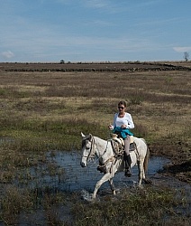 Water Crossings in Mexico