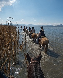 Water Crossings in Mexico