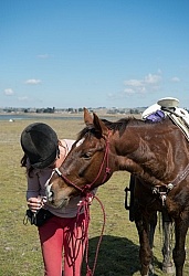 Tequila Shots before Lunch