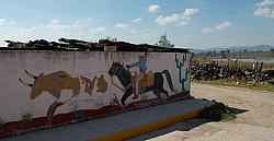 Through the Villages