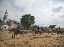 Through the Villages