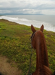 Beach Riding in Costa Rica