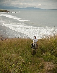 Beach Riding in Costa Rica