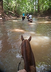 Riding in the River
