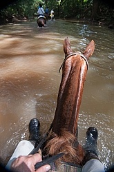 Riding in the River