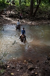 Riding in the River