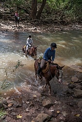 Riding in the River