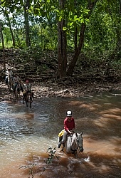 Riding in the River