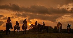 Sunset and Silhouettes near Mara Villa
