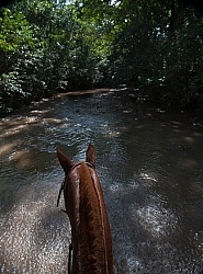 River Ride near Maravilla
