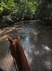River Ride near Maravilla
