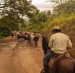 On the Trail Near Maravilla