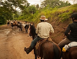 On the Trail Near Maravilla