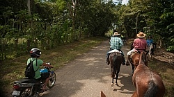 On the Trail Near Maravilla