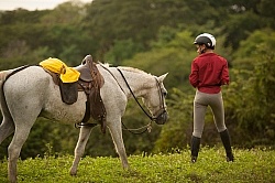 On the Trail Near Maravilla