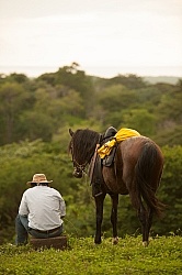 On the Trail Near Maravilla