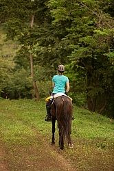 On the Trail Near Maravilla