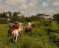On the Trail Near Maravilla