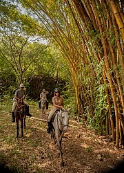 On the Trail Near Maravilla
