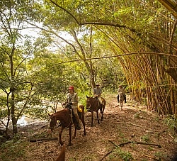 On the Trail Near Maravilla