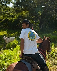 On the Trail at La Ensenada