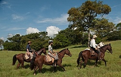 On the Trail at La Ensenada