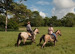 On the Trail at La Ensenada