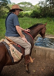 On the Trail at La Ensenada