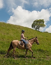 On the Trail at La Ensenada