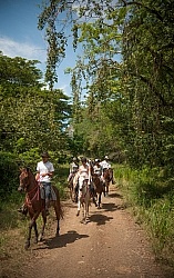 On the Trail at La Ensenada