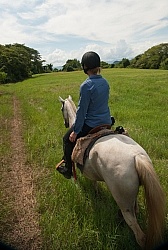 On the Trail at La Ensenada